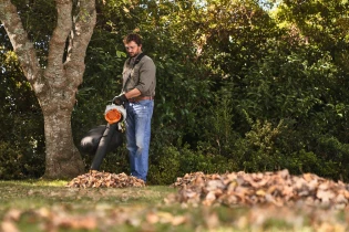 LE BONHEUR DU JARDIN EN AUTOMNE