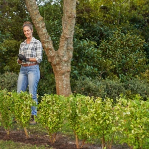 Une clôture de jardin verte