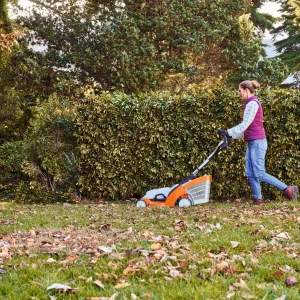 L'entretien du gazon en automne