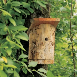 Fabriquer un nichoir pour les oiseaux