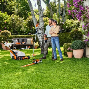 L'éveil printanier dans le jardin